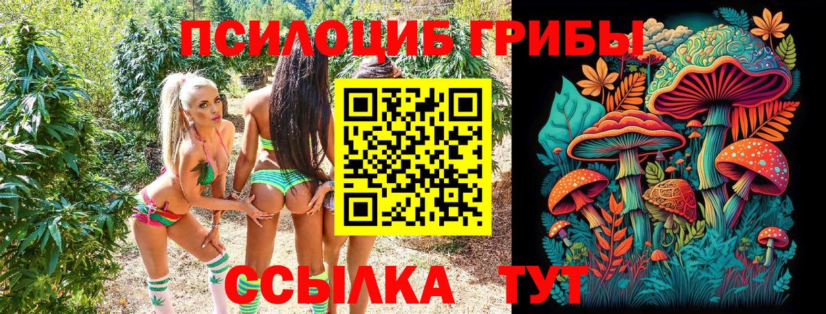 Псилоцибиновые грибы мухоморы Мегион