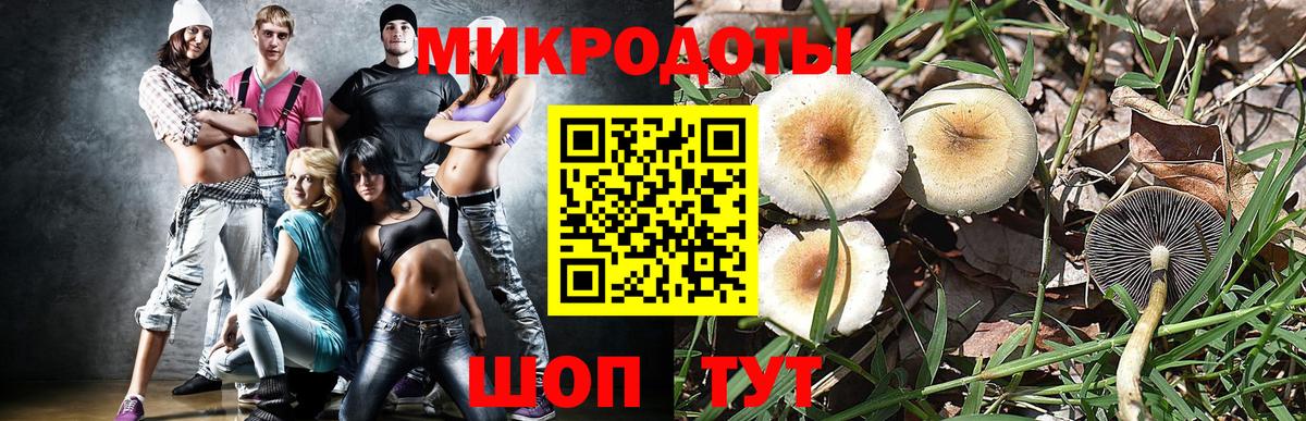 Мегион  Галлюциногенные грибы MAGIC MUSHROOMS  Галлюциногенные грибы мицелий  Вход с VPN 